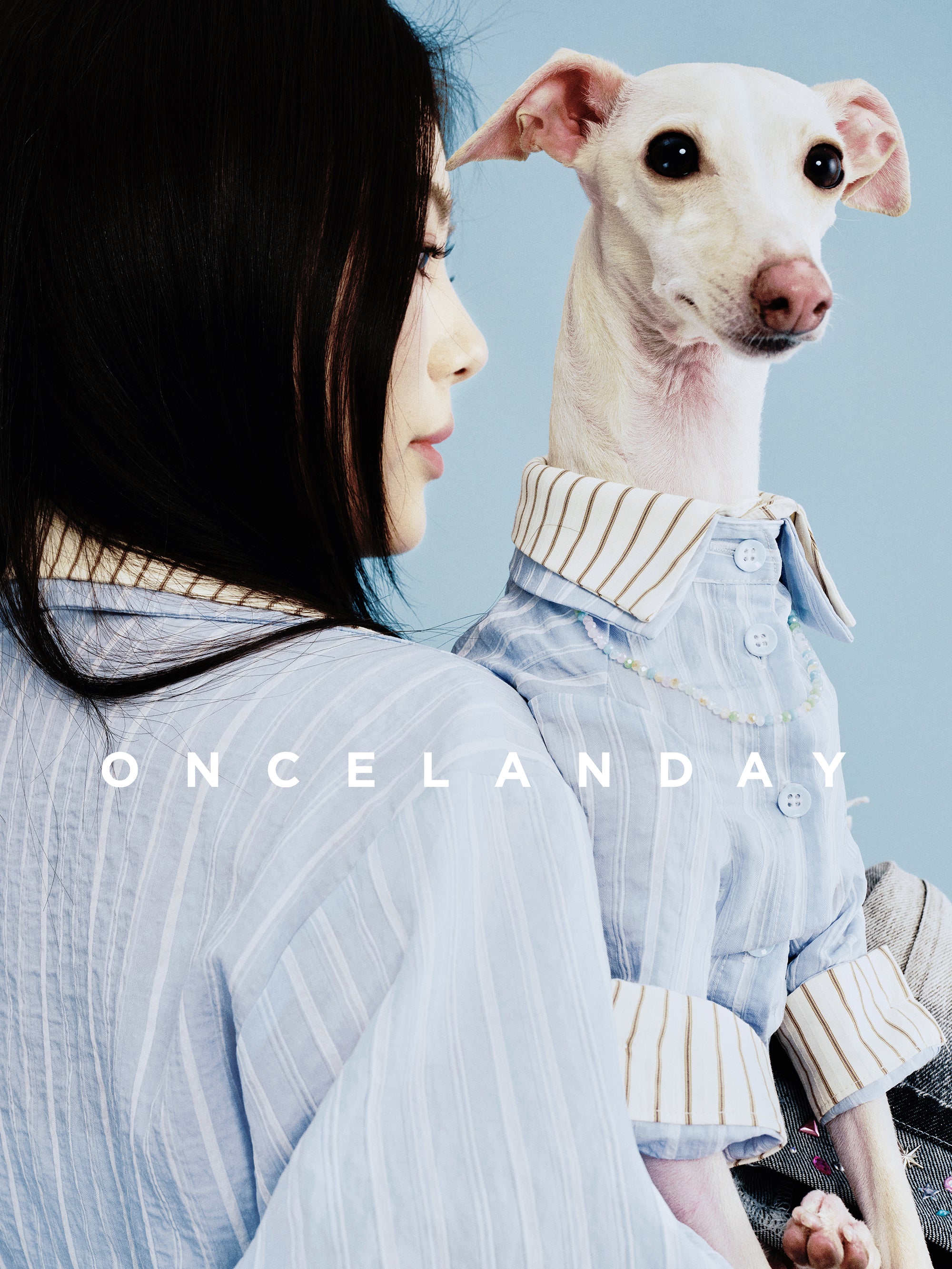 Oncelanday summer dog shirt logo with colorful design and playful font on white background.