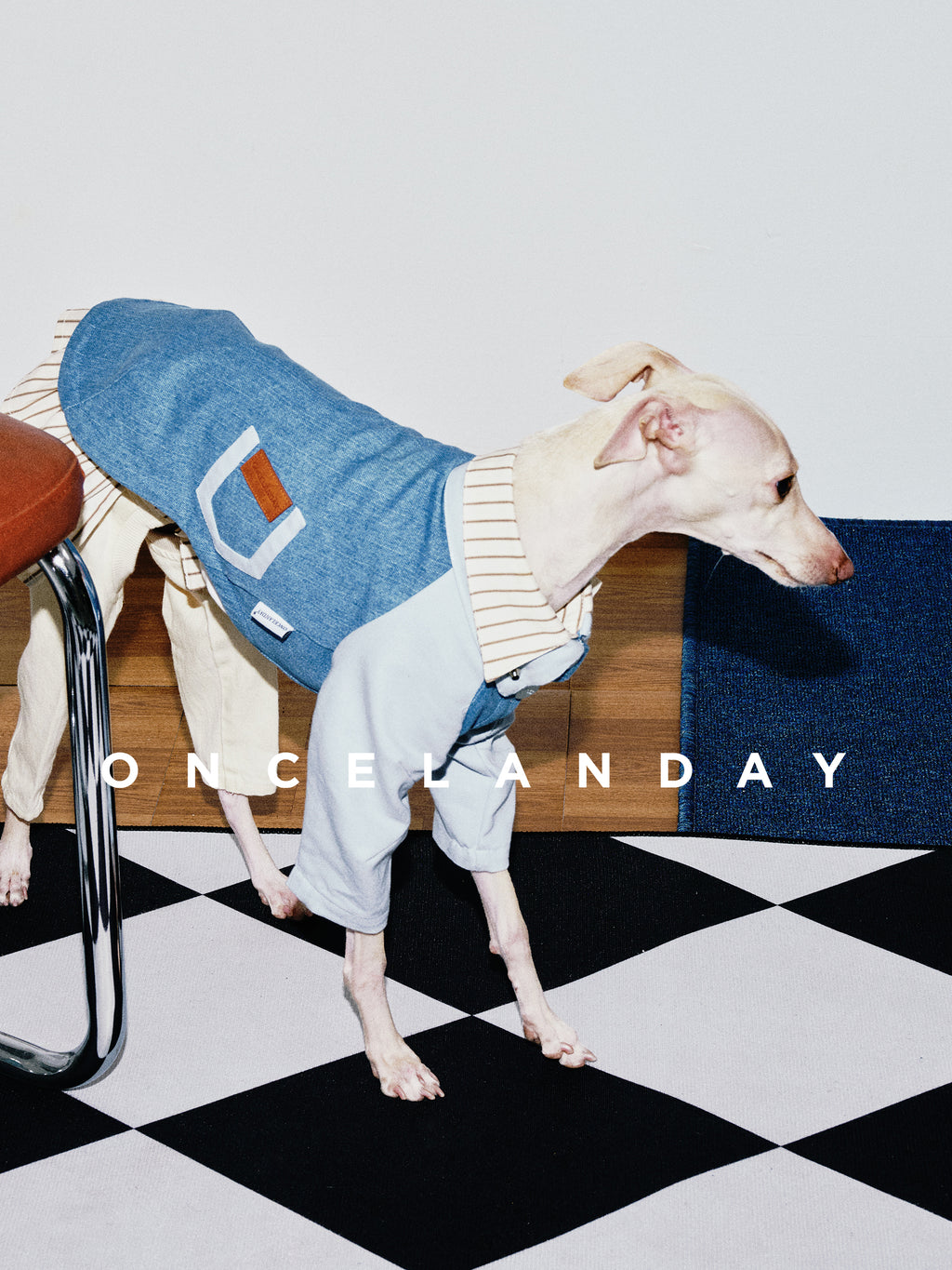 Oncelanday dog denim shirt featuring classic blue denim fabric and button details, displayed on a plain background.