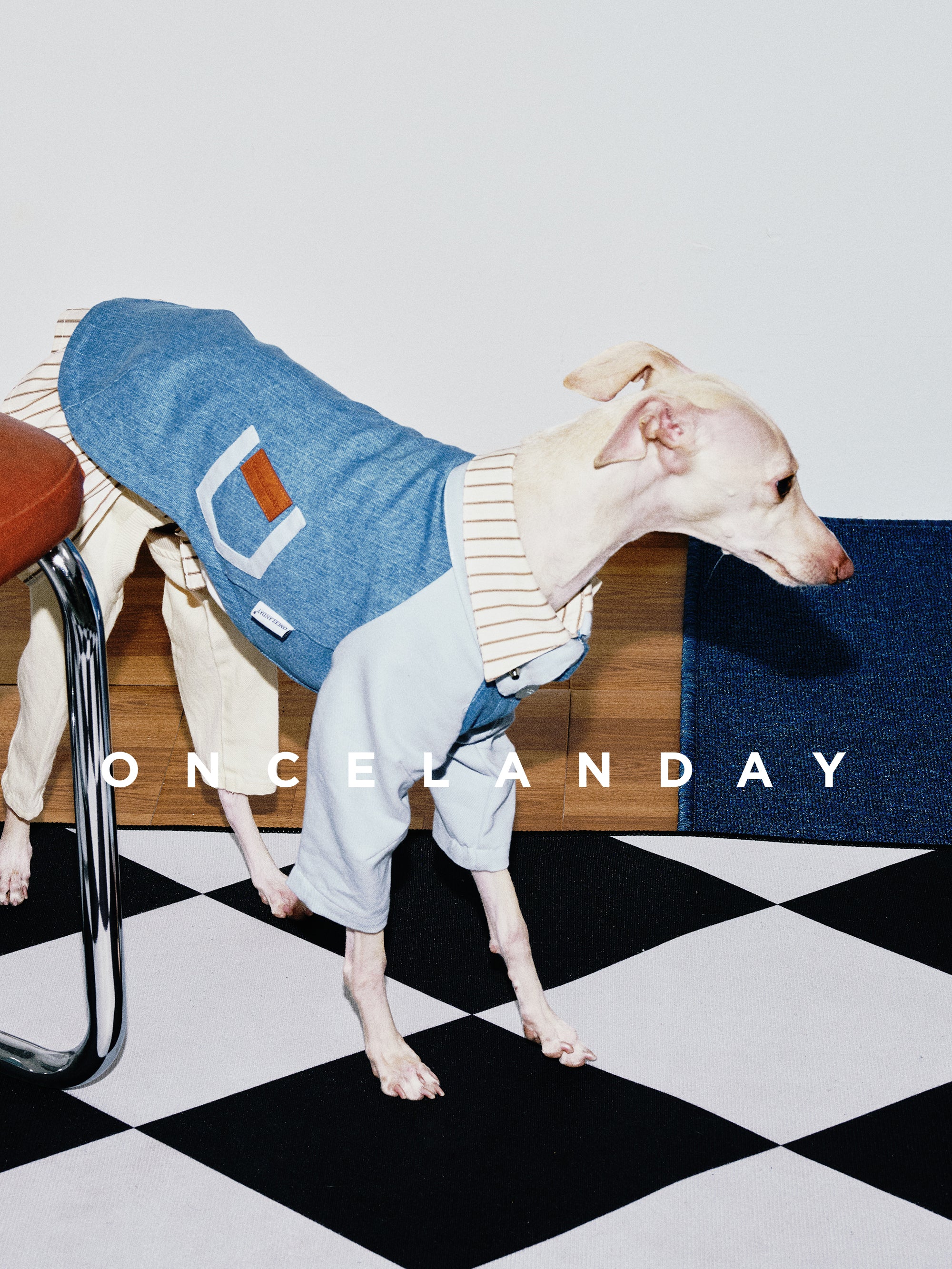 Oncelanday dog denim shirt featuring classic blue denim fabric and button details, displayed on a plain background.