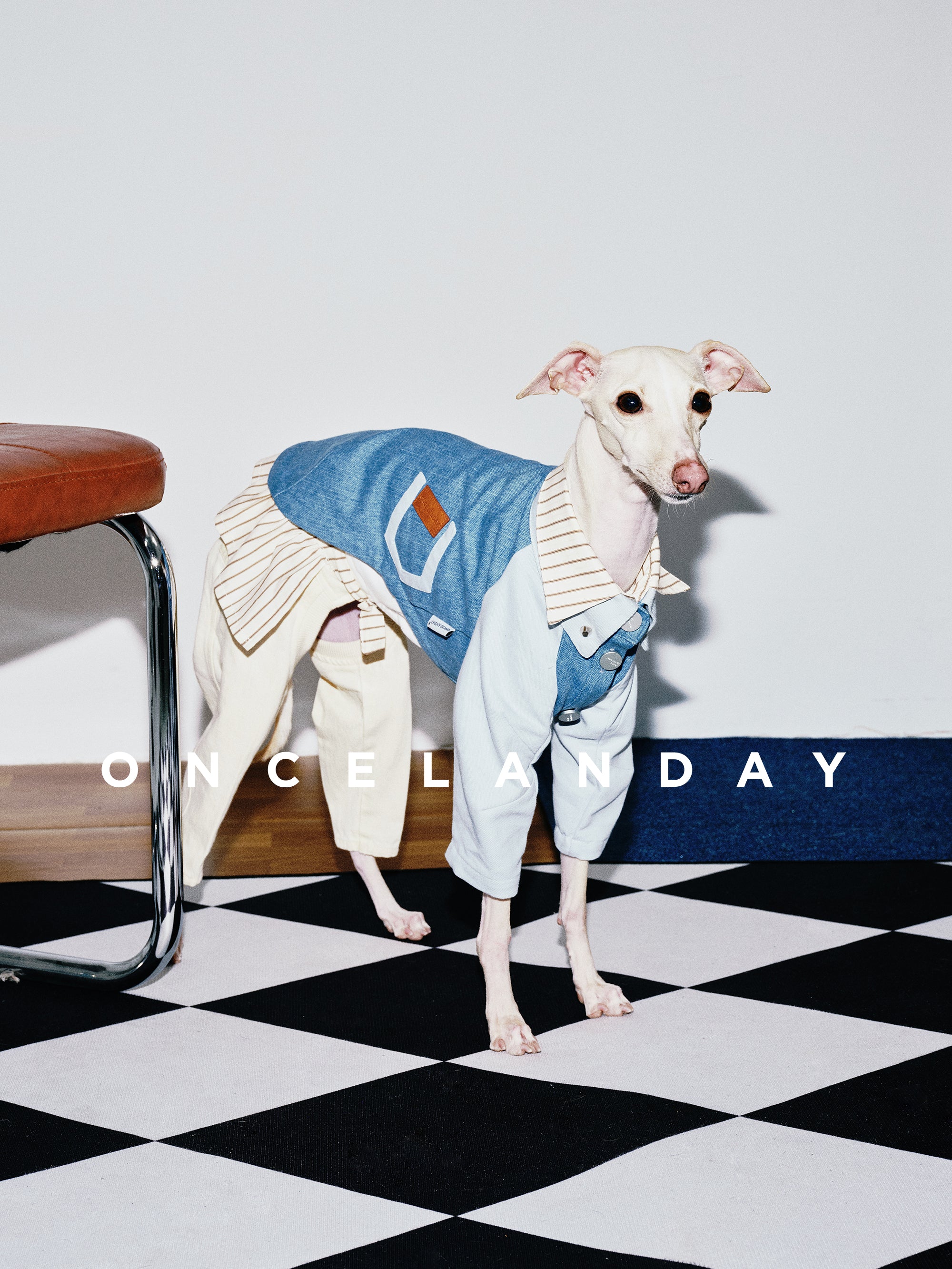 Oncelanday dog denim shirt with stylish blue denim fabric and collar, shown in logo image.