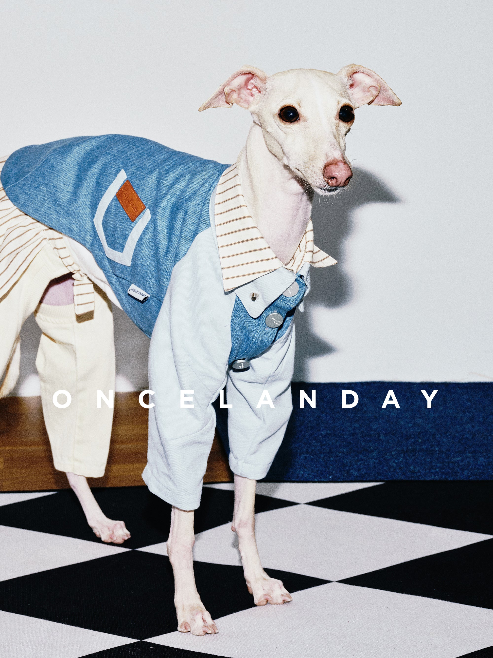 Oncelanday dog denim shirt logo with stylish denim fabric and branding details in a close-up image.