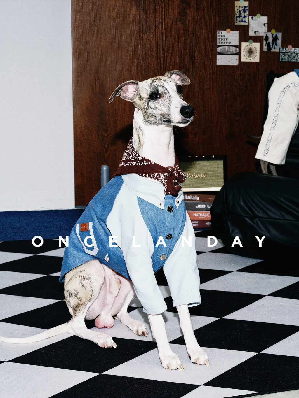 Oncelanday dog denim shirt logo with denim fabric and stylish design, suitable for fashionable pet apparel.