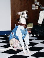 Oncelanday dog denim shirt logo with denim fabric and stylish design, suitable for fashionable pet apparel.