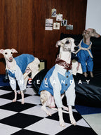 Oncelanday dog denim shirt with stylish blue denim fabric and button details, displayed in the product image.