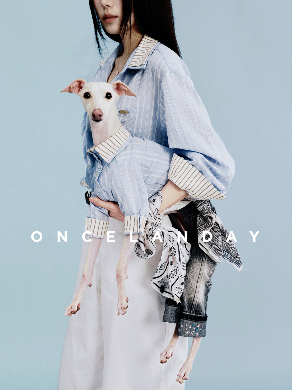 Oncelanday summer dog shirt with playful design, lightweight fabric, perfect for keeping your dog cool and stylish during warm weather.