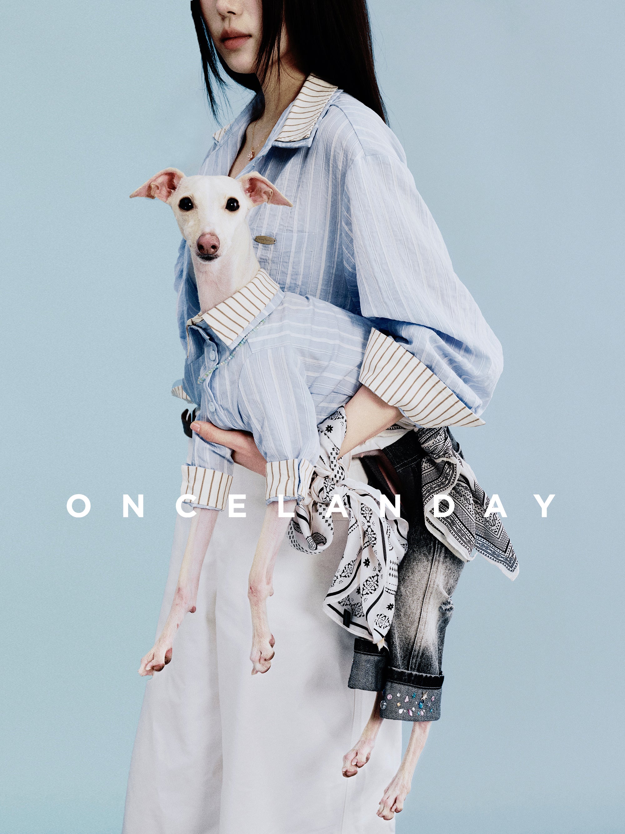 Oncelanday summer dog shirt with playful design, lightweight fabric, perfect for keeping your dog cool and stylish during warm weather.