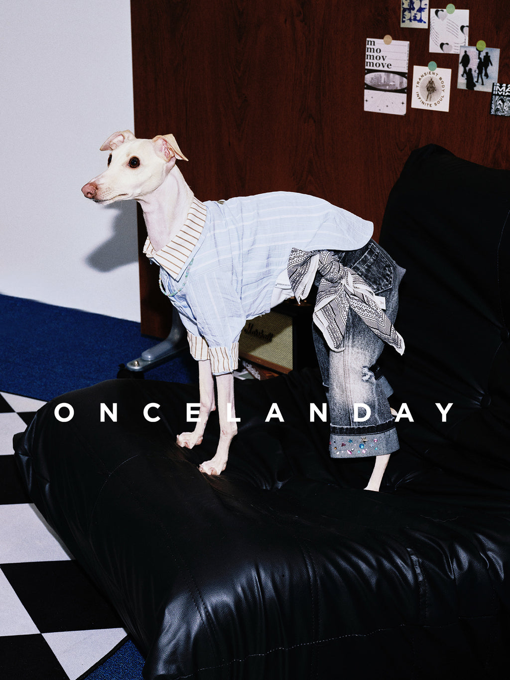 Oncelanday summer dog shirt logo on a white background, showcasing a comfortable and stylish pet apparel design.