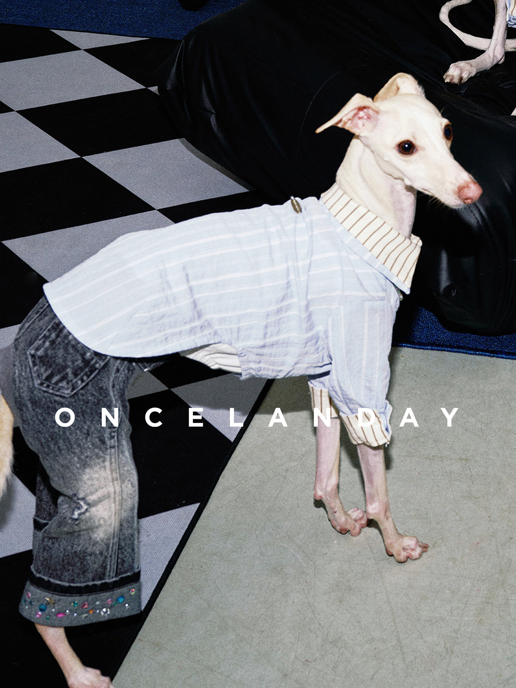 Oncelanday summer dog shirt logo image featuring the brand's logo on a light background.