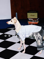 Oncelanday summer dog shirt logo image with colorful design and brand logo displayed on fabric.