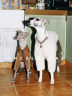 Shearling Dog Jacket