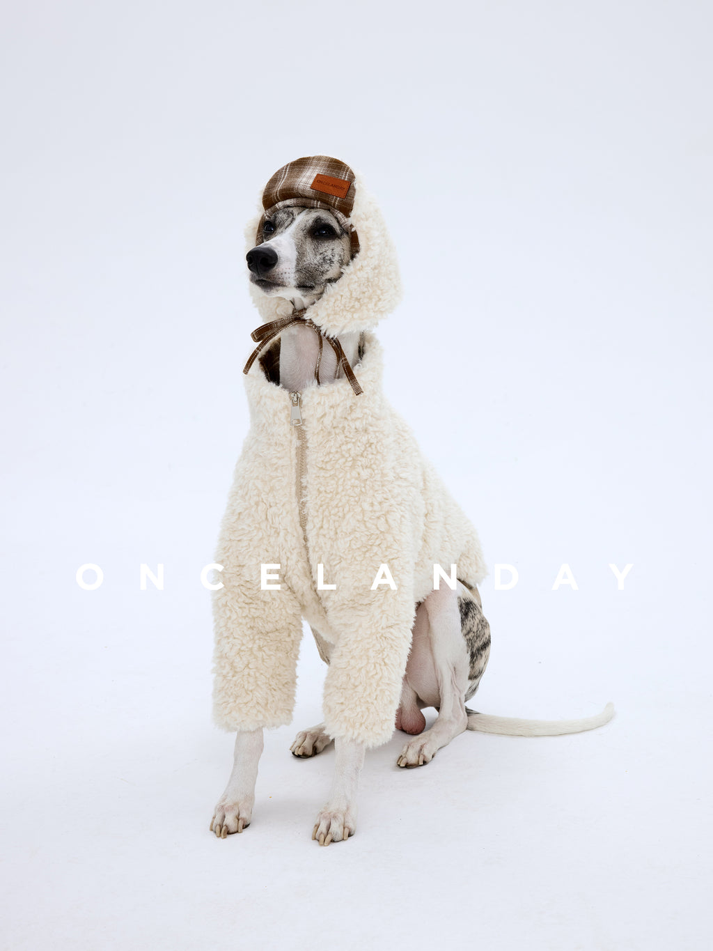 Shearling Dog Jacket