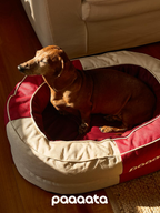 A dog relaxing in a luxury bolster dog bed placed by a window, showing a calm indoor setting and supportive raised sides.