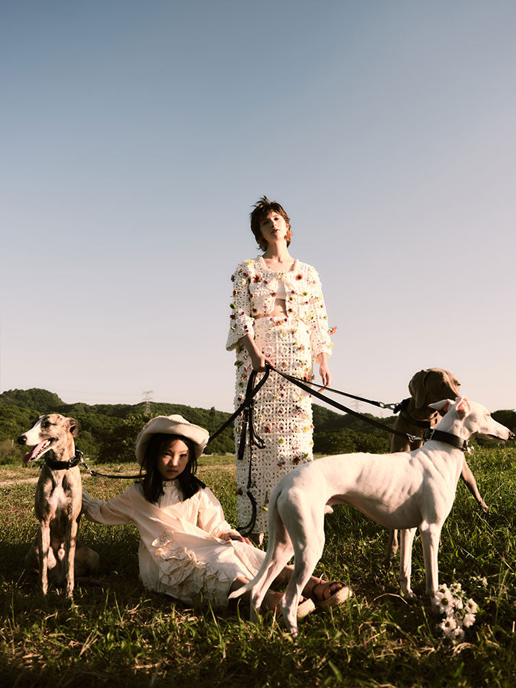 Luxury leather dog collar styled in an outdoor setting, highlighting durability and elegant everyday wear.