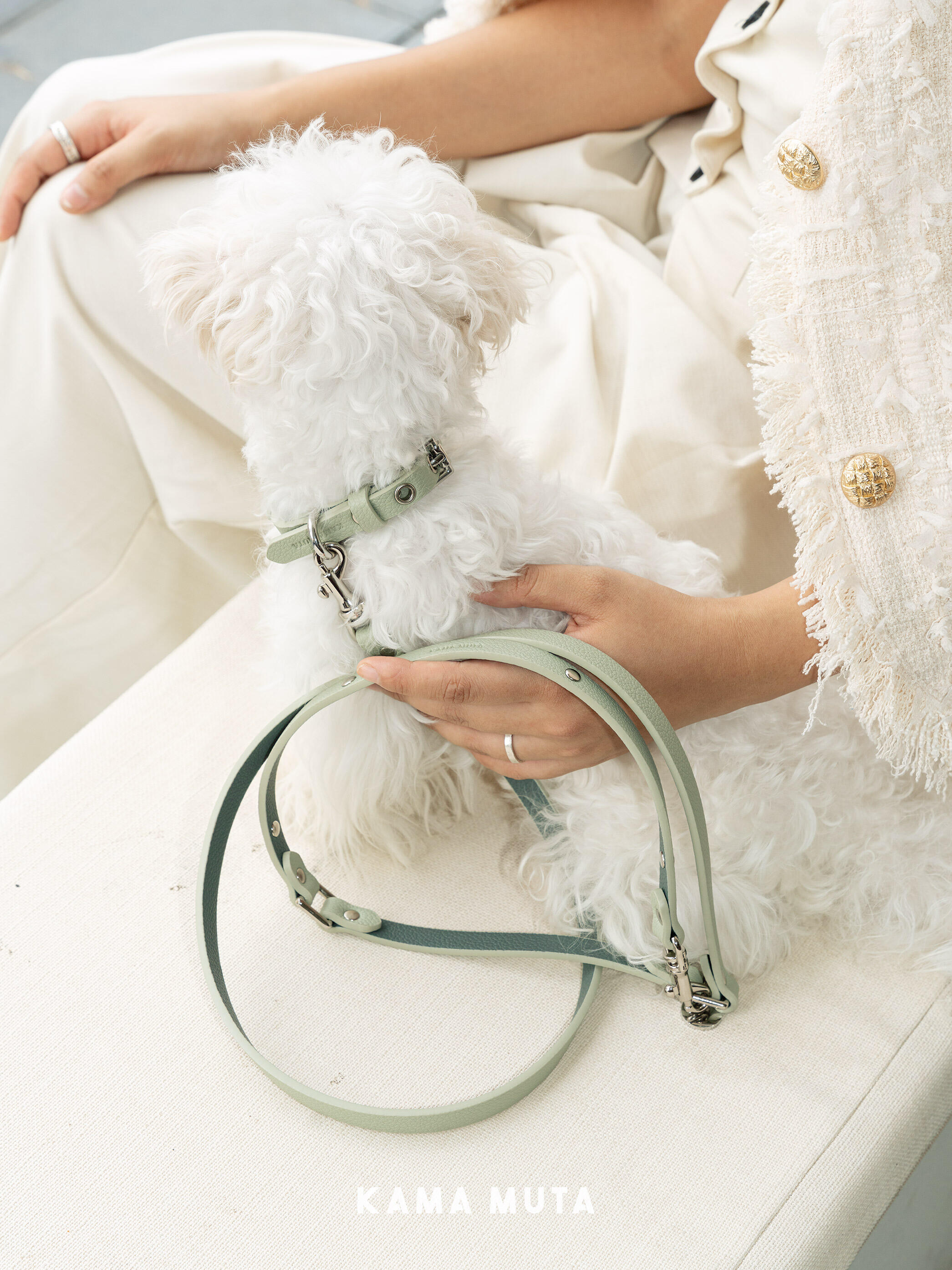 Luxury leather dog leash in soft green, shown with a small white dog resting on its owner’s lap in an elegant indoor setting
