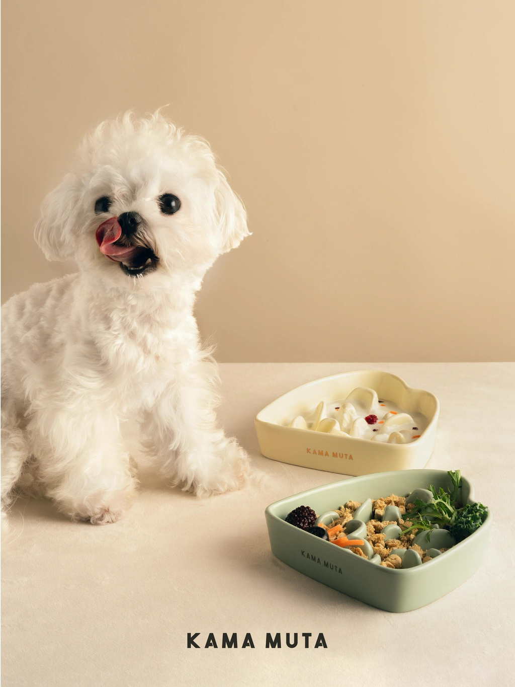 White Maltese puppy next to two KAMA MUTA bowls (one with wet food, one with snacks）