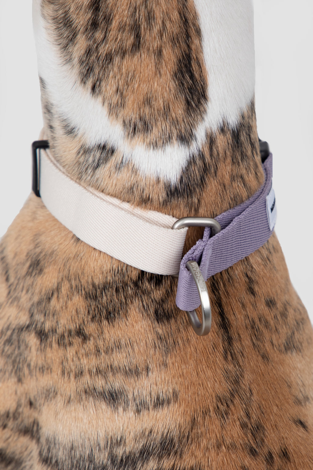 Close-up of the back of a martingale collar, showing the limited-slip loop that prevents over-tightening on the neck.