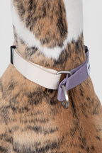 Close-up of the back of a martingale collar, showing the limited-slip loop that prevents over-tightening on the neck.