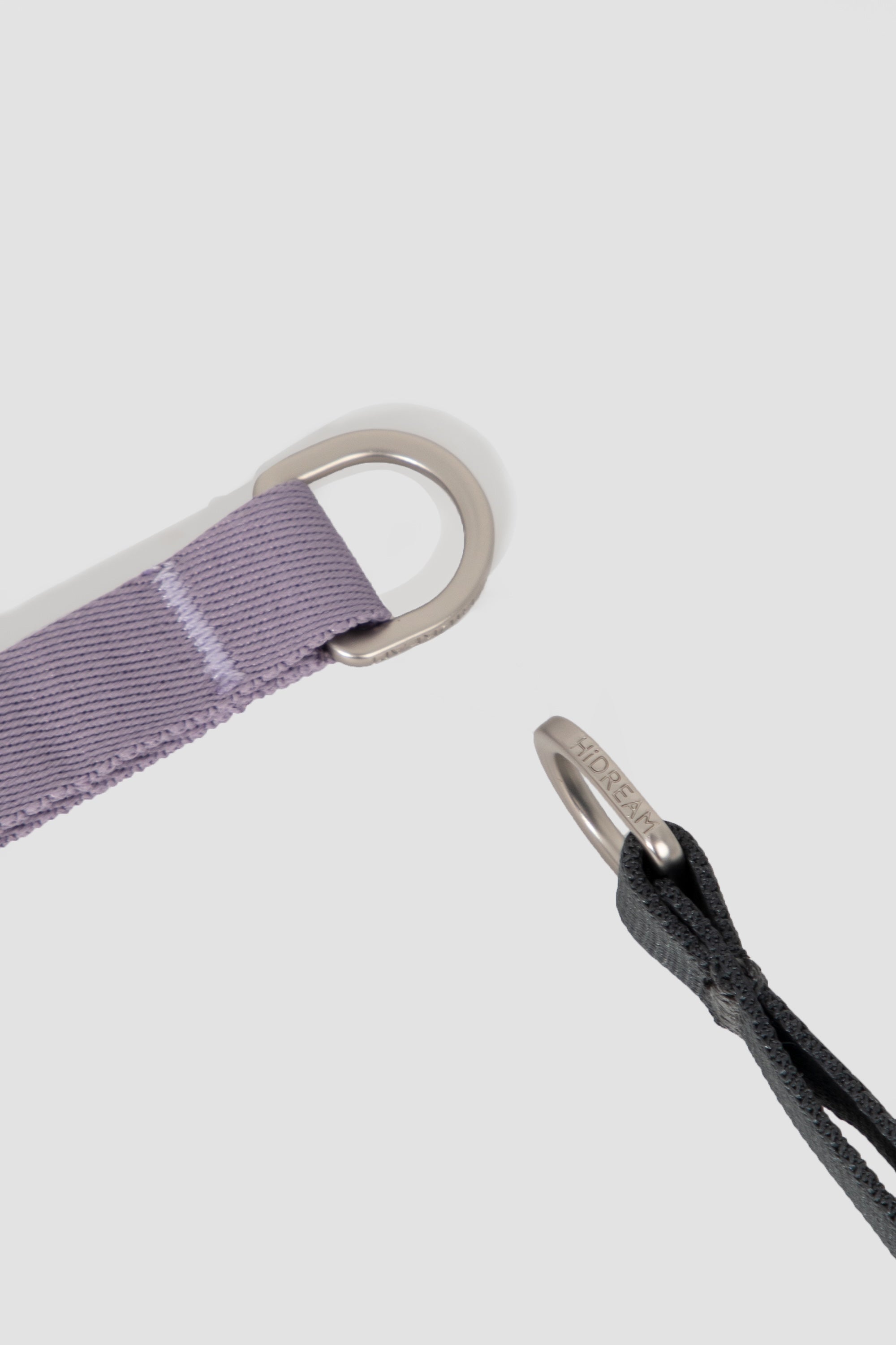 Close-up of the metal D-ring on a martingale dog collar used for leash attachment during walking or training.