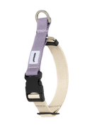 Front view of a martingale dog collar in purple, shown on a transparent background with quick-release buckle and D-ring.、