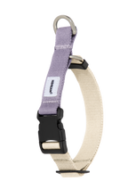 Front view of a martingale dog collar in purple, shown on a transparent background with quick-release buckle and D-ring.、