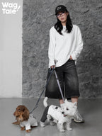 A person walking two dogs wearing graphic dog jumpers, showing four-leg design and casual matching human and dog outfits for daily wear.