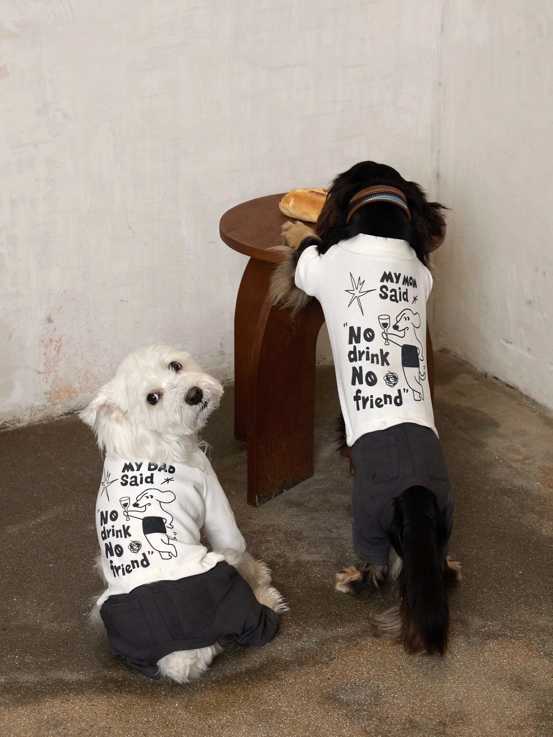 Two dogs in matching graphic dog jumpers pose beside a small table indoors, showing illustrated text prints and casual lifestyle styling.
