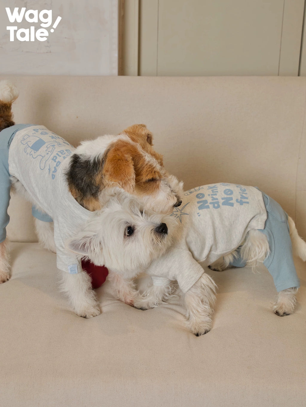 Two dogs wearing matching graphic dog jumpers interact on a sofa, showing coordinated prints and four-leg jumper construction.