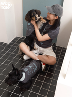 A person sitting on the floor with two dogs wearing graphic dog vests, showing relaxed summer styling and matching outfit concept.
