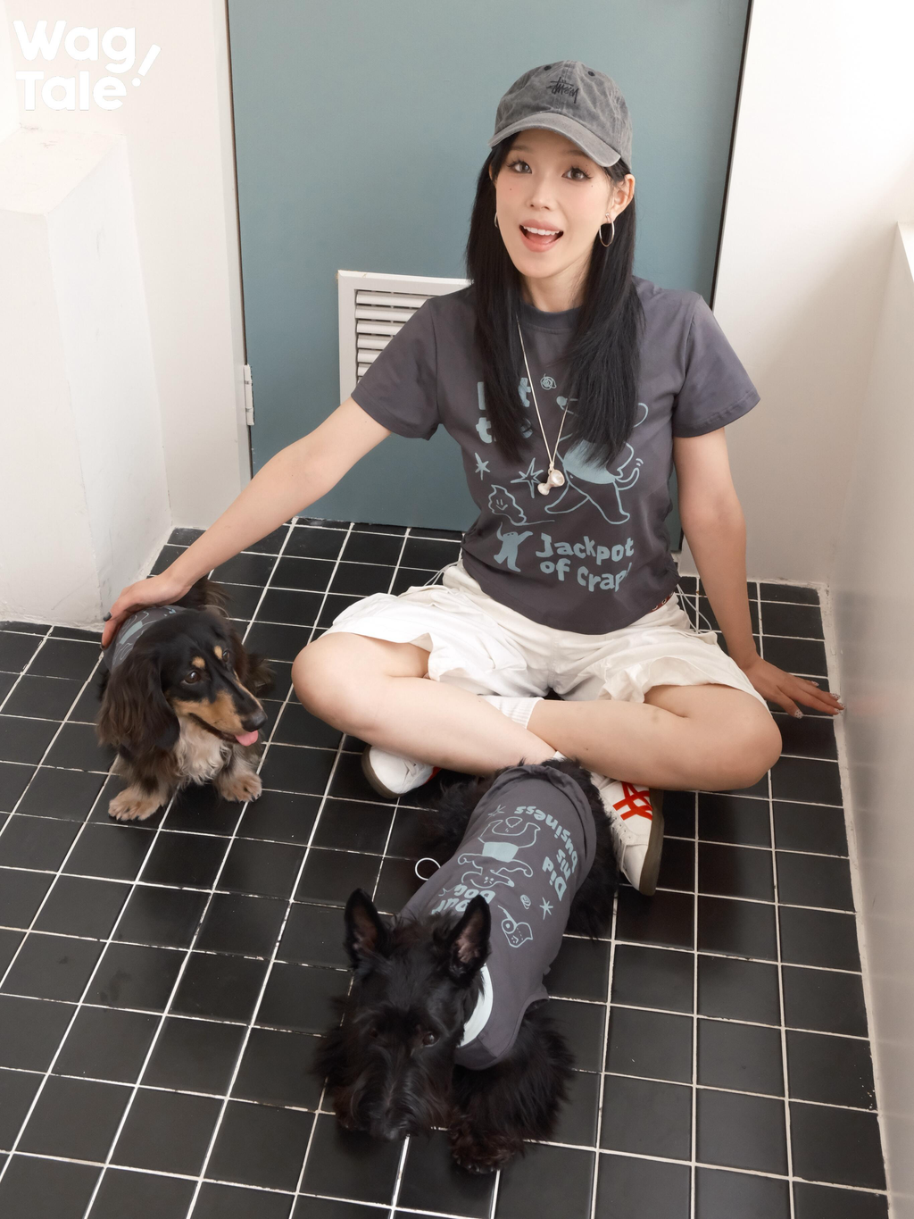 A person sitting on the floor wearing a graphic cotton T-shirt surrounded by dogs in matching dog jumpers, highlighting relaxed indoor lifestyle styling.