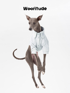 Italian Greyhound wearing a minimalist dog shirt in white, front view showing short sleeves and clean construction.