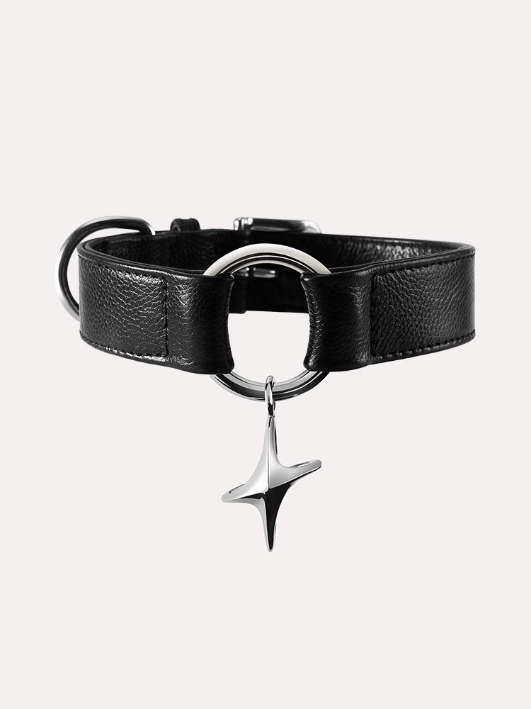 Minimalist black leather dog collar with adjustable fit and polished metal hardware, suitable for medium and large dogs