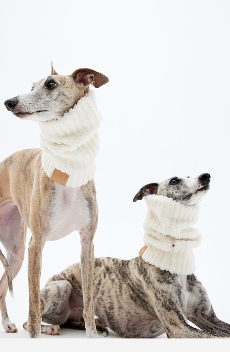 Minimalist dog scarf for winter, cozy neck warmer styled on greyhound and whippet