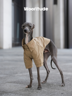 Italian Greyhound wearing a minimalist dog shirt in khaki, highlighting the structured front panel and short-sleeve cut.