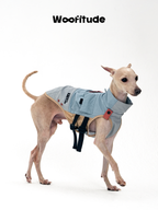 A slim dog stands in side profile wearing a minimalist dog vest, clearly showing clean lines, lightweight fabric, and body-hugging fit