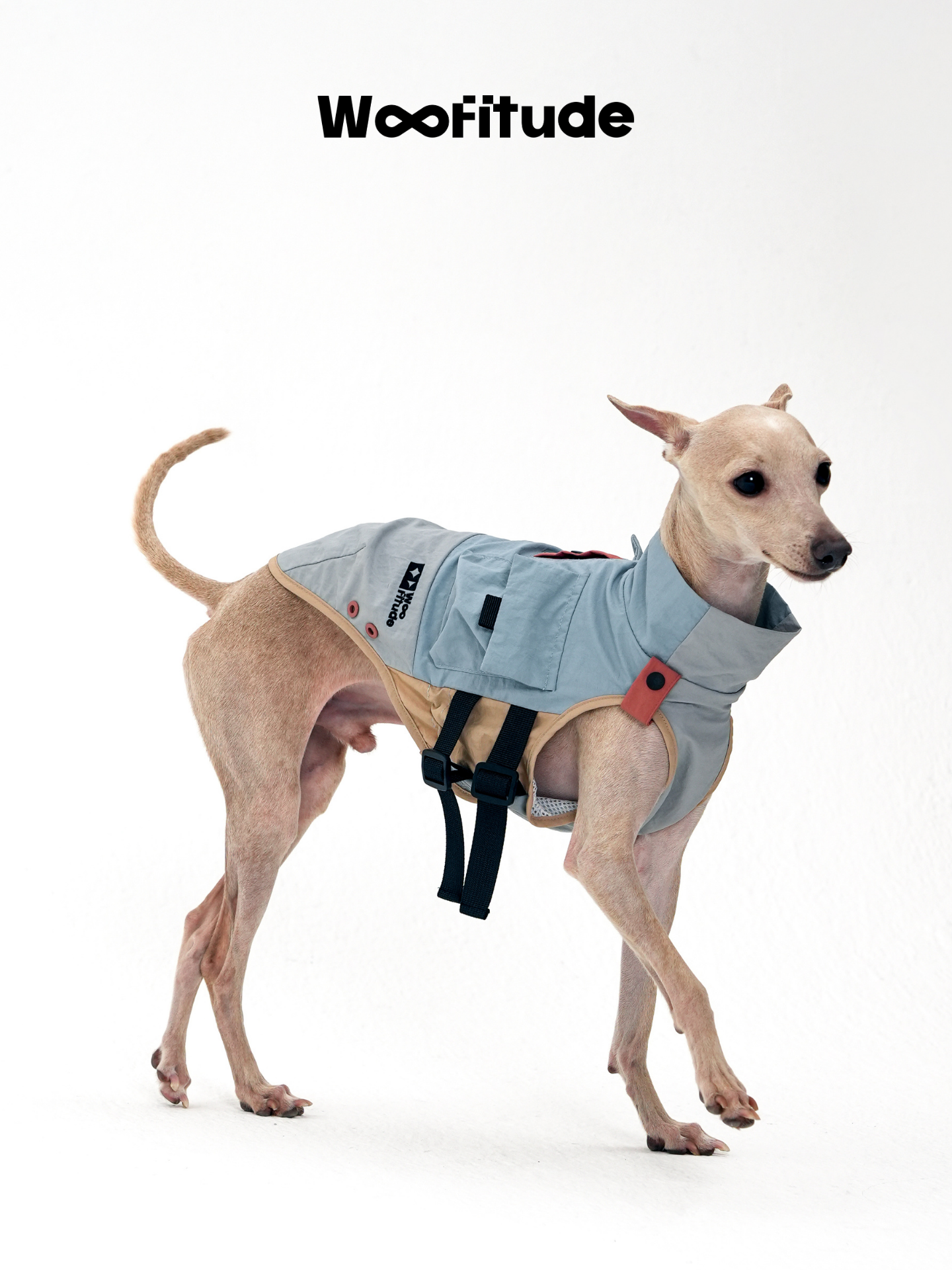 A slim dog stands in side profile wearing a minimalist dog vest, clearly showing clean lines, lightweight fabric, and body-hugging fit