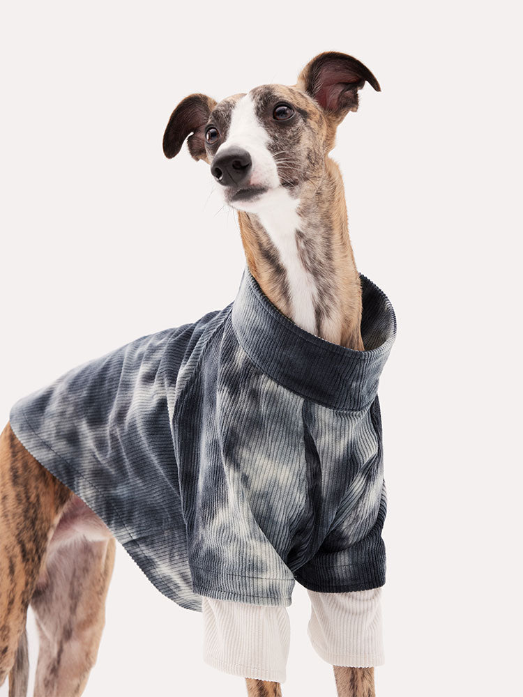 Modern tie dye corduroy dog sweater styled on a sighthound, combining relaxed aesthetics with everyday comfort