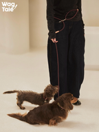 Multi-way dog leash used in hand-held and waist configurations, demonstrating adjustable length and effortless control during daily walks.