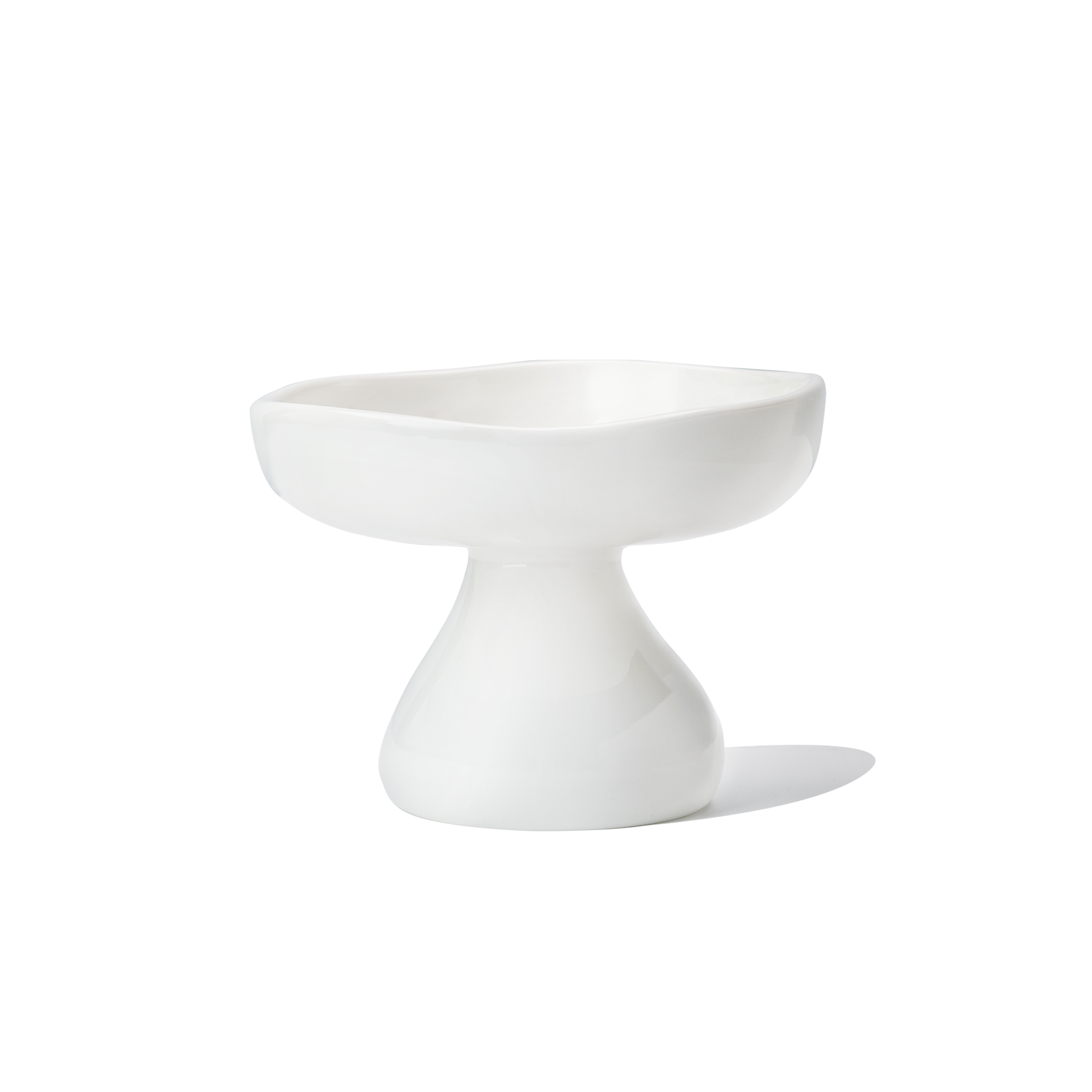 White elevated ceramic cat bowl in a mushroom shape, offering a clean and minimalist feeding solution for cats.