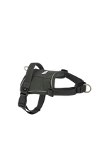 Flat lay of a dark green no-pull dog harness showing the saddle-style body panel, adjustable straps, and front and back metal attachment rings.
