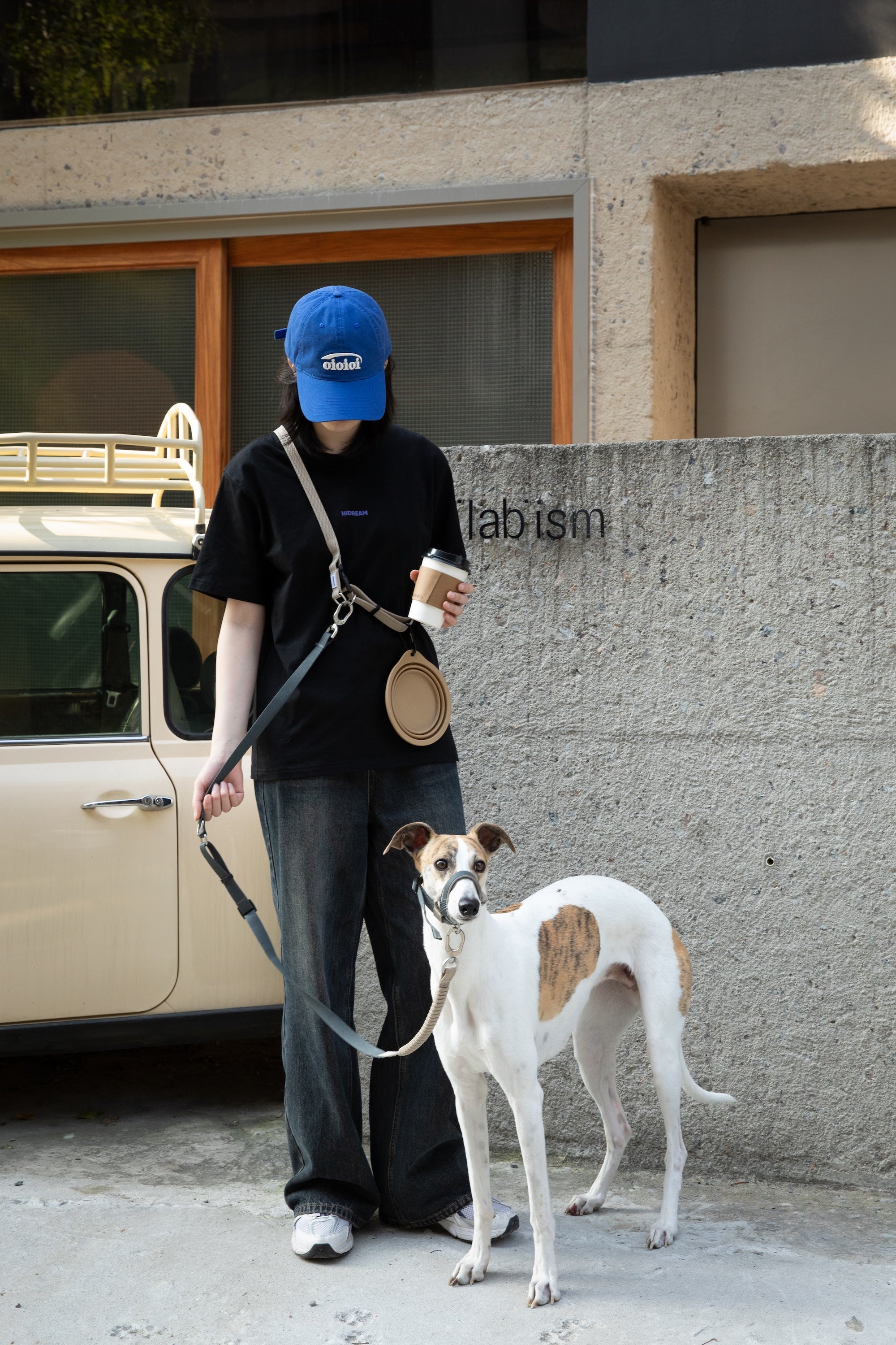 Lifestyle street photo of a dog on leash wearing an anti-pull dog head collar, shown with the handler for everyday walking control.