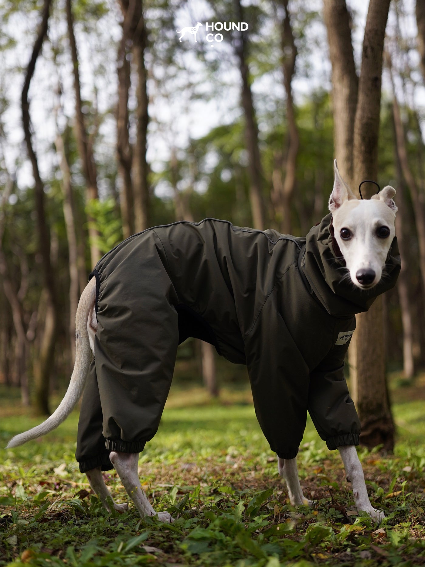 Side view of a dog wearing an olive green full-coverage snowsuit, showing balanced proportions and leg protection.