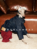 Italian Greyhound wearing an ONCELANDAY denim dog jacket indoors on a leather sofa, featuring a wide collar and zip-front design, styled with a visor hat and headphones.