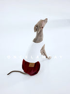 Back view of an Italian Greyhound wearing ONCELANDAY dog jeans in a studio setting, highlighting the rear construction, leather brand label, and the tailored fit that follows the dog’s natural posture.