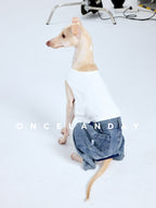 Italian Greyhound sitting with back view on a white studio background wearing ONCELANDAY dog jeans, showing blue dog denim pants with back pocket detail and the white top from behind