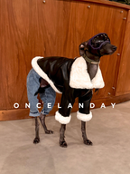Italian Greyhound standing indoors against a wooden backdrop wearing a black PU leather dog jacket with faux fur trim, shown in side view with protective dog goggles.