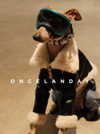 Italian Greyhound wearing a black PU leather dog jacket with white faux fur lining, seated indoors under warm lighting, styled with protective dog goggles and a patterned neck scarf.