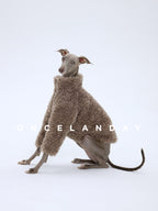 Italian Greyhound sitting sideways on a white background wearing ONCELANDAY grey-brown lamb fleece jacket, showing fleece volume and hem length