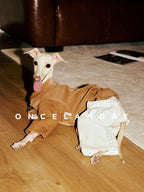 Italian Greyhound lying on a wooden floor wearing ONCELANDAY lace dog pants, paired with a brown top, showing the high-waist cut and soft lace panel detail on the cream-colored dog trousers.