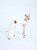 Italian Greyhound standing against a white background wearing ONCELANDAY lace dog pants, clearly showing the cream-colored fabric, lace side panels, and tailored rear-leg construction.