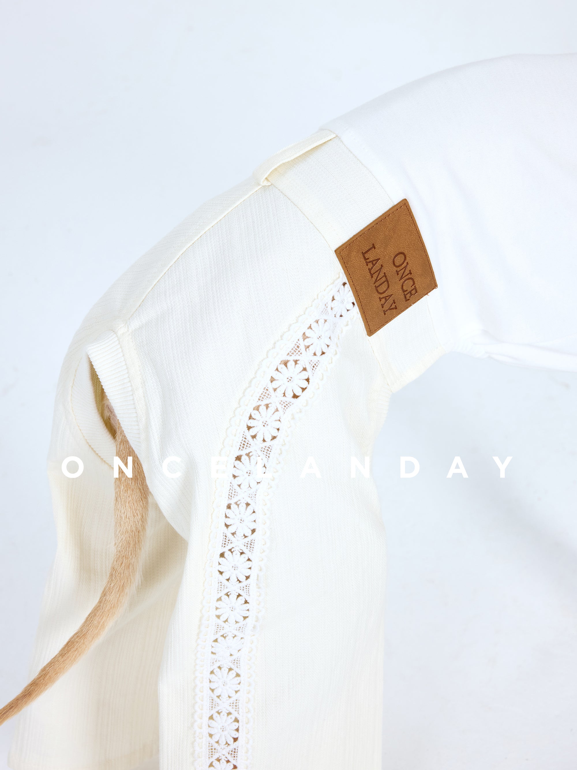 Detailed view of ONCELANDAY lace dog pants, focusing on the lace panel construction, textured cream fabric, and leather brand label positioned at the waist.